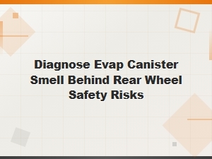 Diagnosing an Evap Canister Smell and Safety Risks