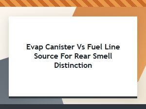 Distinguishing a Rear Smell: Evap Canister or Fuel Line