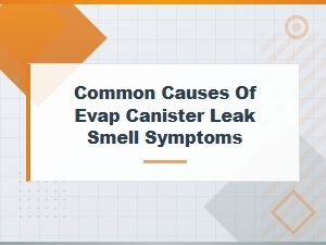 Identifying Evap Canister Leak Symptoms and Causes